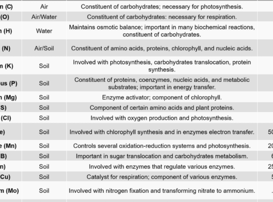 Maximize Nutrient Availability in Corn Silage: 7 Proven Techniques