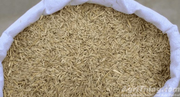 Oats Jodari 30kg Oats Jodar 10kg Jo Jai Jawi Joddar