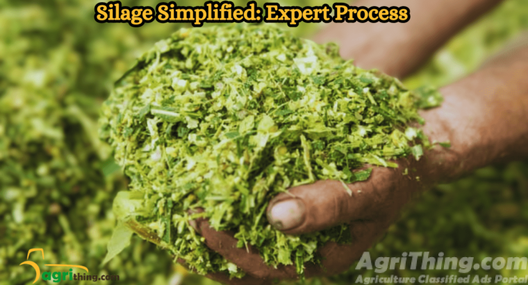 Silage Making Process: A Comprehensive Guide