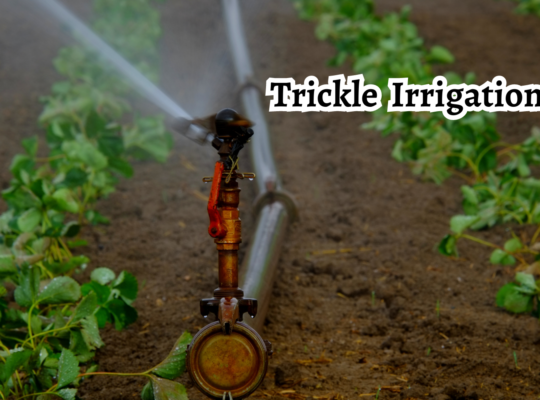 The Science Behind Trickle Irrigation: Unveiling the Magic and Potential Drawbacks