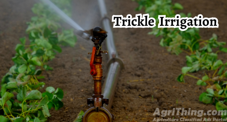 The Science Behind Trickle Irrigation: Unveiling the Magic and Potential Drawbacks