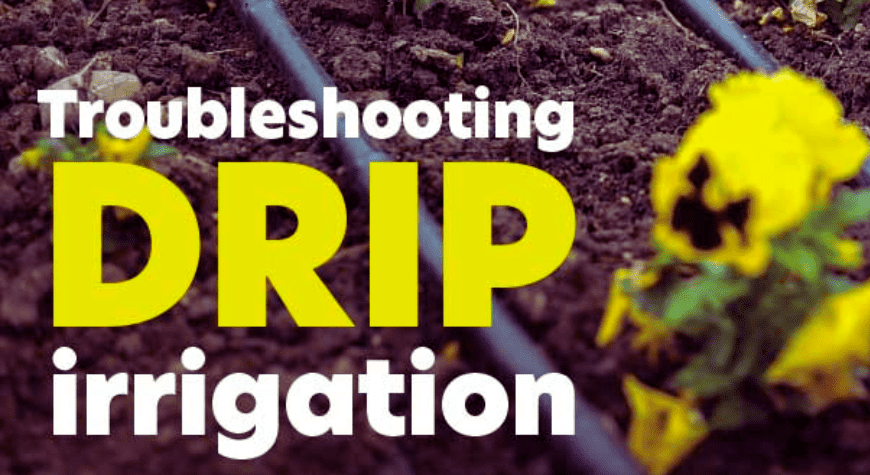 This precision irrigation helps your plants growth 5 Troubleshooting for Common Issues in drip irrigation