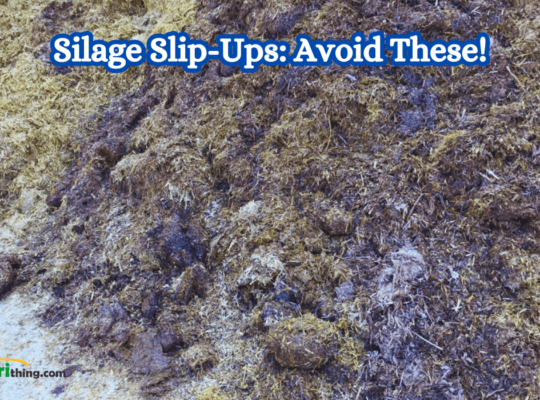 7 Common Corn Silage Pit Mistakes to Avoid! Ultimate Guide