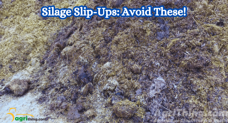 7 Common Corn Silage Pit Mistakes to Avoid! Ultimate Guide