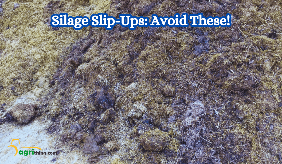 7 Common Corn Silage Pit Mistakes to Avoid! Ultimate Guide 2 7 Common Corn Silage Pit Mistakes to Avoid! Ultimate Guide