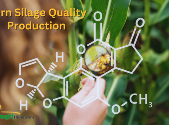 Corn Stover Silage Quality Control in Production