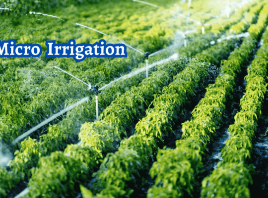 Unlocking the Power of Micro Irrigation: Maximizing Efficiency and Growth