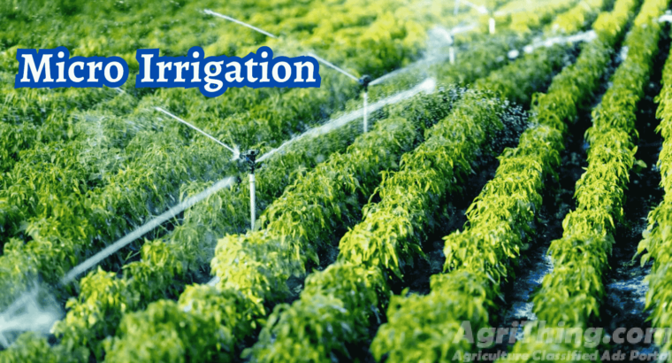 Unlocking the Power of Micro Irrigation: Maximizing Efficiency and Growth