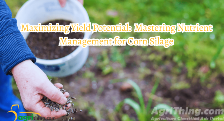 Nutrient Management: Unlock Optimal Growth and Yield