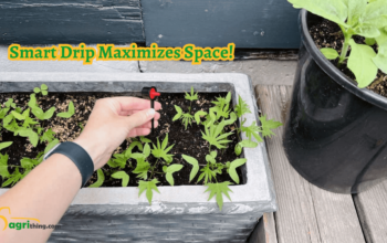 Drip Irrigation for Small Spaces: Creative Solutions