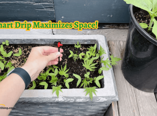 Drip Irrigation for Small Spaces: Creative Solutions