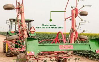 Enorossi – Big Tedder