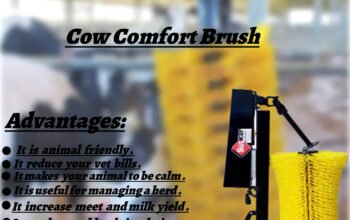 Cow Relaxing Brush With Stand 100% Imported