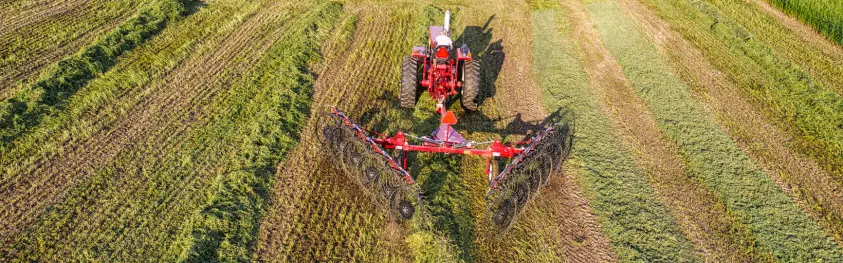 Untitled design (55)